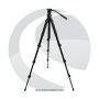 Celestron Regal Premium Tripod # 82052