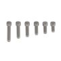 Socket Head Cap Screws, Stainless Steel, 1/4