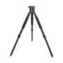 William Optics Carbon Fiber Astro Tripod with 100mm Extension