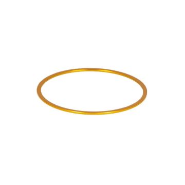 Baader M48 Fine-Adjustment Aluminum Spacer Ring: 1mm Thick # M48RING-10 2457918
