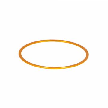 Baader Fine-Adjustment Aluminum Spacer Ring for M54 Threads - 1mm # M54RING-10 2457923