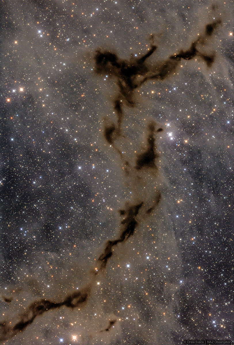 Barnard 150 - The Seahorse Nebula by Drew Evans. Taken with a ZWO ASI2600MM Pro camera, a Sharpstar SCA260 telescope, and an iOptron CEM120 mount.
