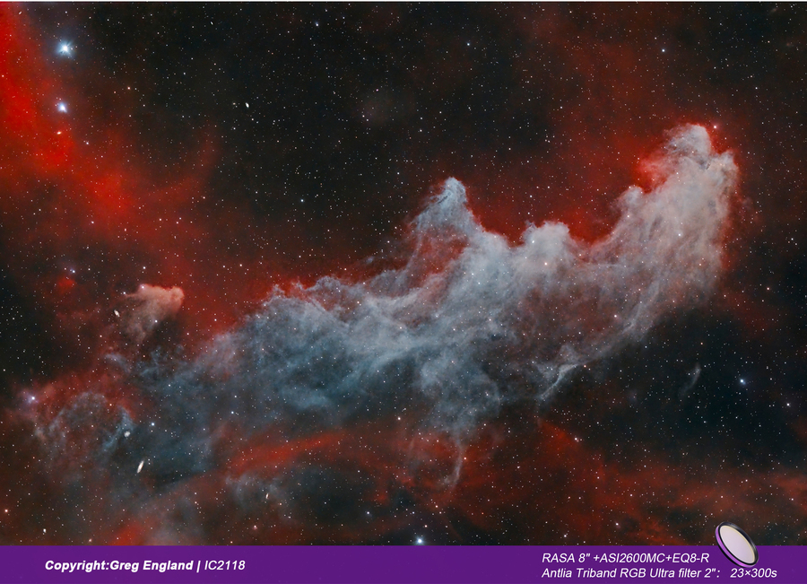 IC2118 example image. 
