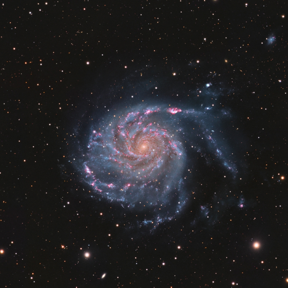 ASI2600MM Pro features DDR3 512MB interal processing power.