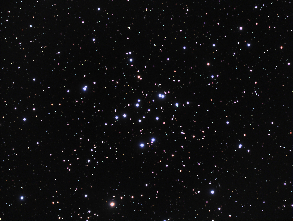M34 (Open Cluster)