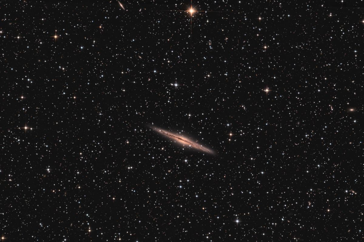 NGC891 a small galaxy surround by a large star field