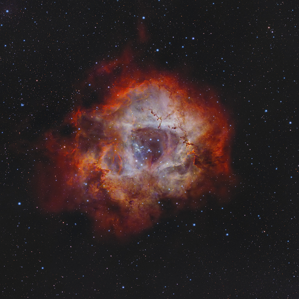 Vaonis Vespera II Observation Station example image of the Rosette Nebula.
