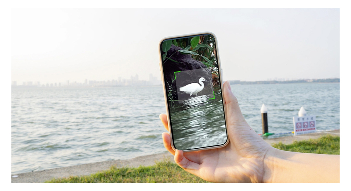 The ZWO Seestar S30 scenery mode with AI tracking, a person holding a mobile phone tracking a bird